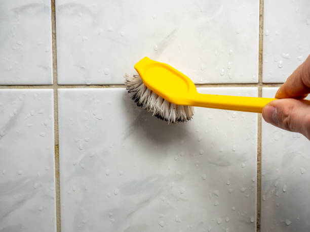 Best Local Mold Removal Service  in West Tawakoni, TX