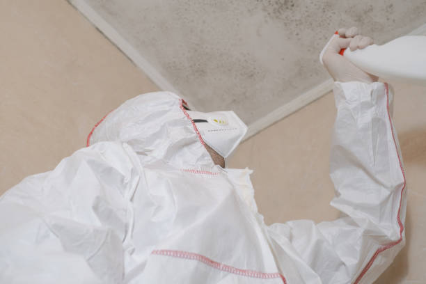 Best Commercial Mold Removal  in West Tawakoni, TX